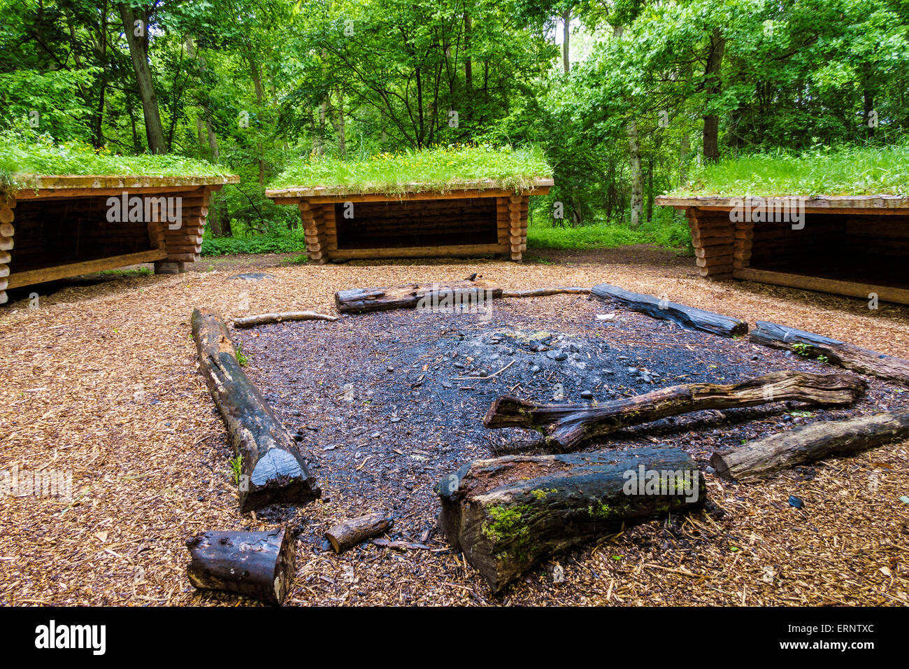 The Danish shelters in Fineshade Wood, Corby, Northants, UK. Used Stock