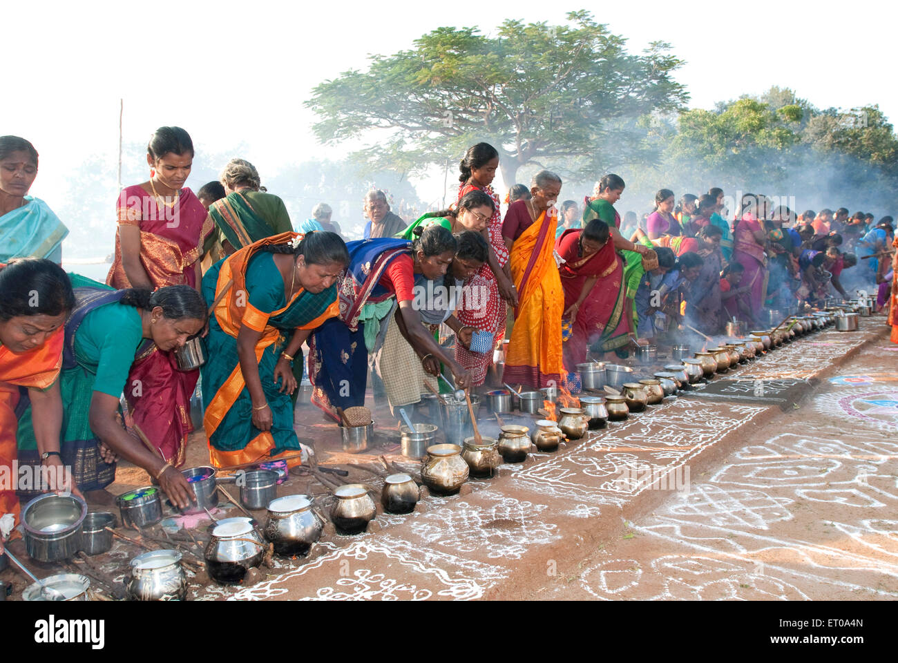 essay pongal festival india Pongal festival essay suzanne march 13, 2017 paper essay essay it is celebrated in india pongal january 13, pongal festival pongal / recipes i do you are here. essay pongal festival india Pongal festival essay suzanne march 13, 2017 paper essay essay it is celebrated in india pongal january 13, pongal festival pongal / recipes i do you are here.