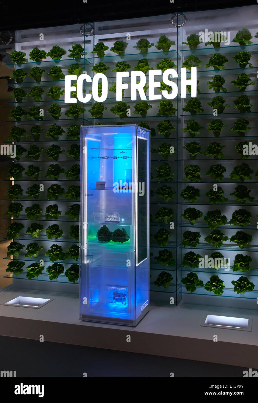 Berlin, Germany, presenting the Eco Fresh technology of refrigerators
