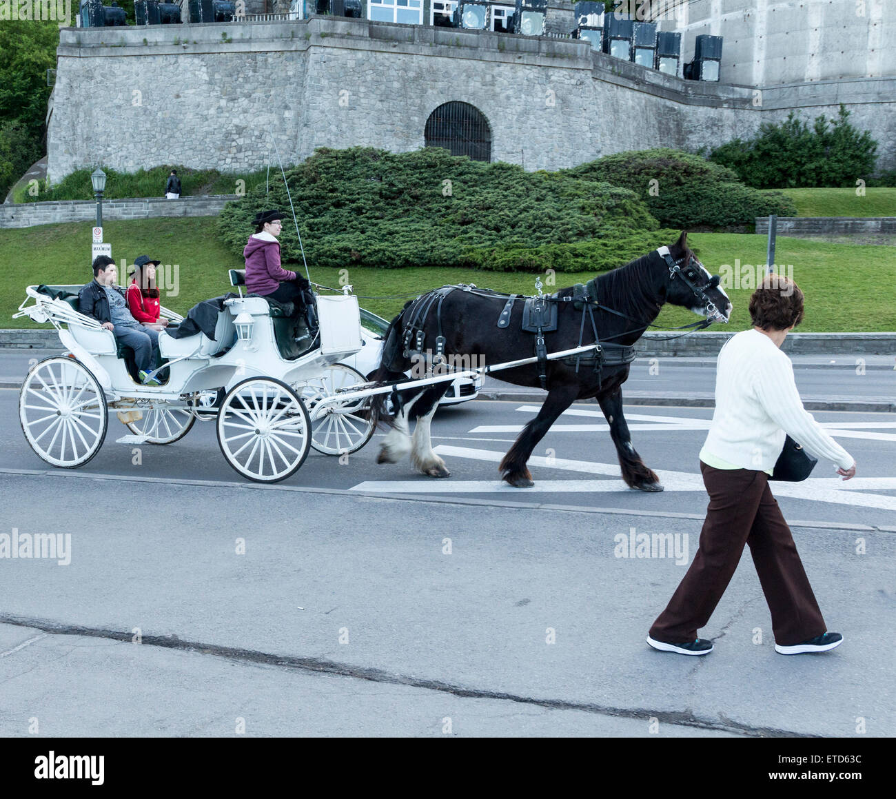 japanese-tourists-on-a-horse-drawn-buggy