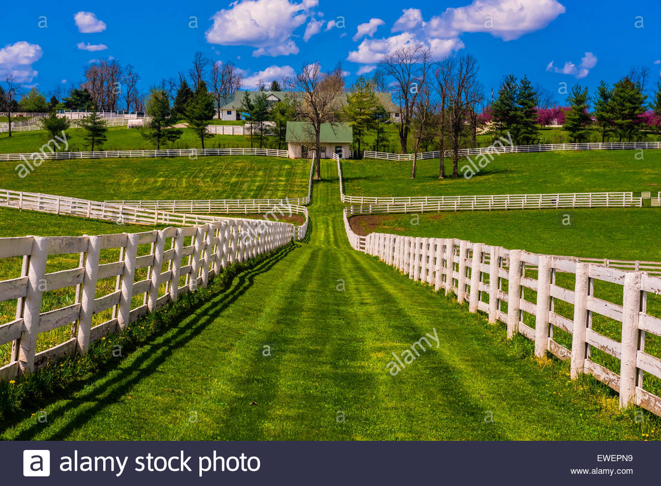 Darby Dan Farm (thoroughbred horse farm), Lexington, Kentucky USA Stock