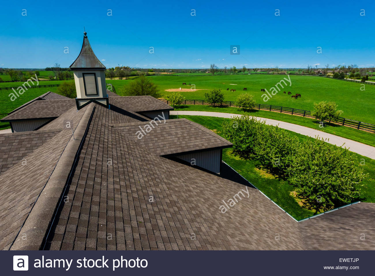 Winstar Farm, Versailles (Lexington), Kentucky USA Stock Photo, Royalty