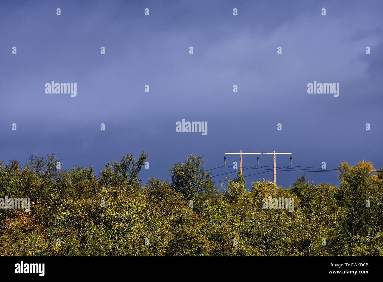 Power Lines Beyond The Taiga Forest Heavy Rain In The Background