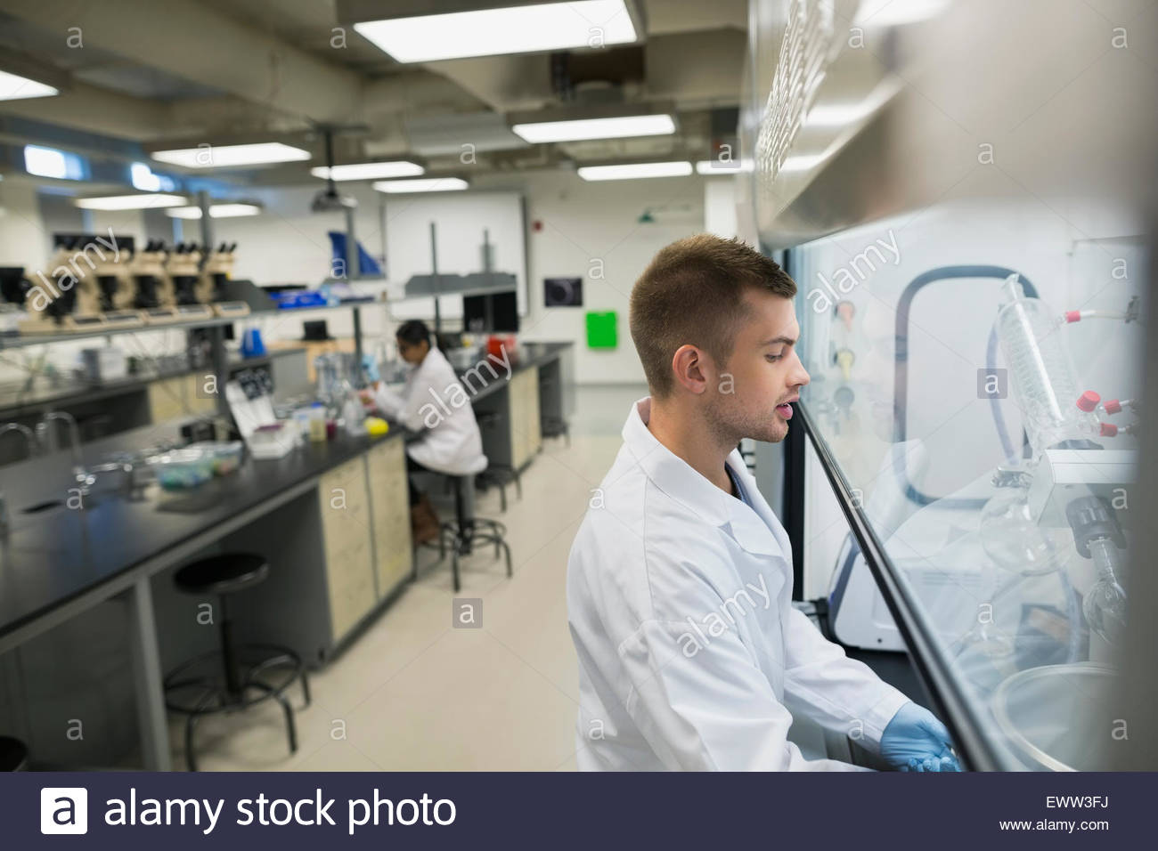 Scientist using equipment in laboratory Stock Photo, Royalty Free Image