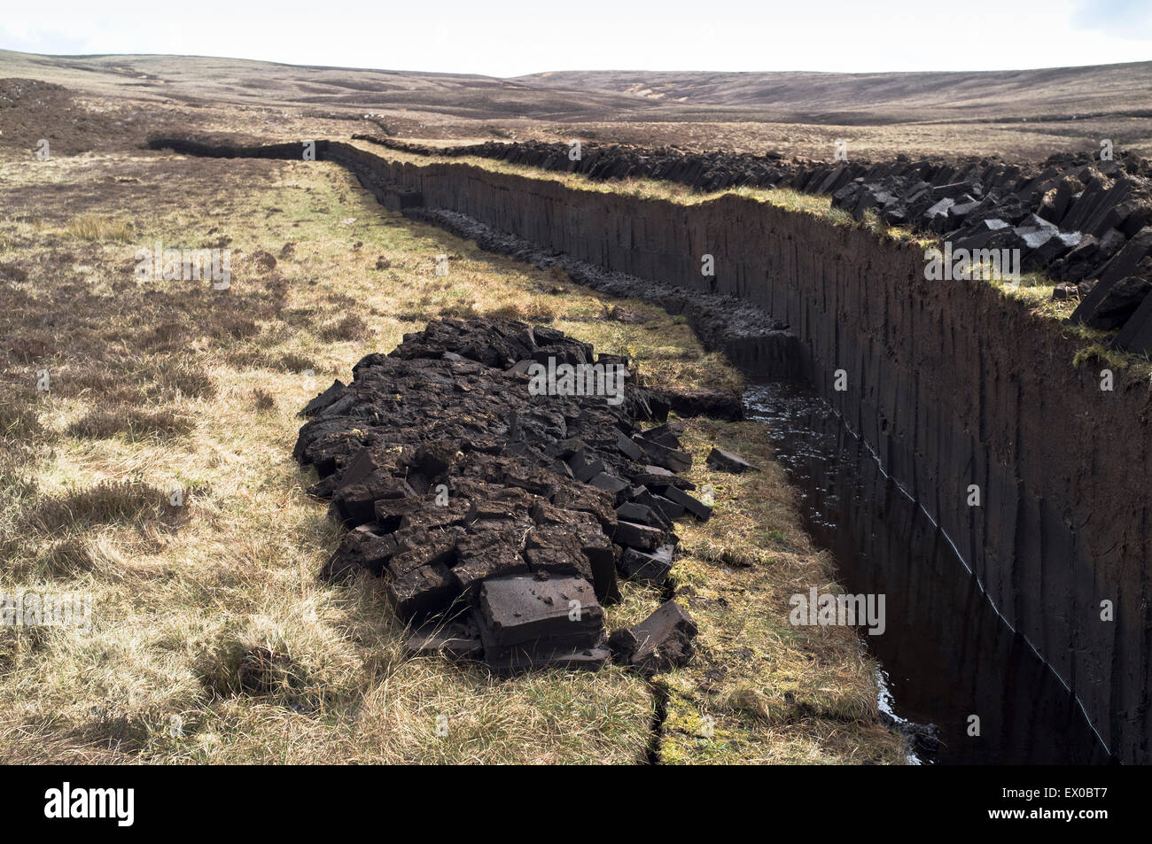 Dh Peat Bank Peat Uk Cut Peat Bog Uk Peat Cutting Scotland Peatland Stock Photo, Royalty Free