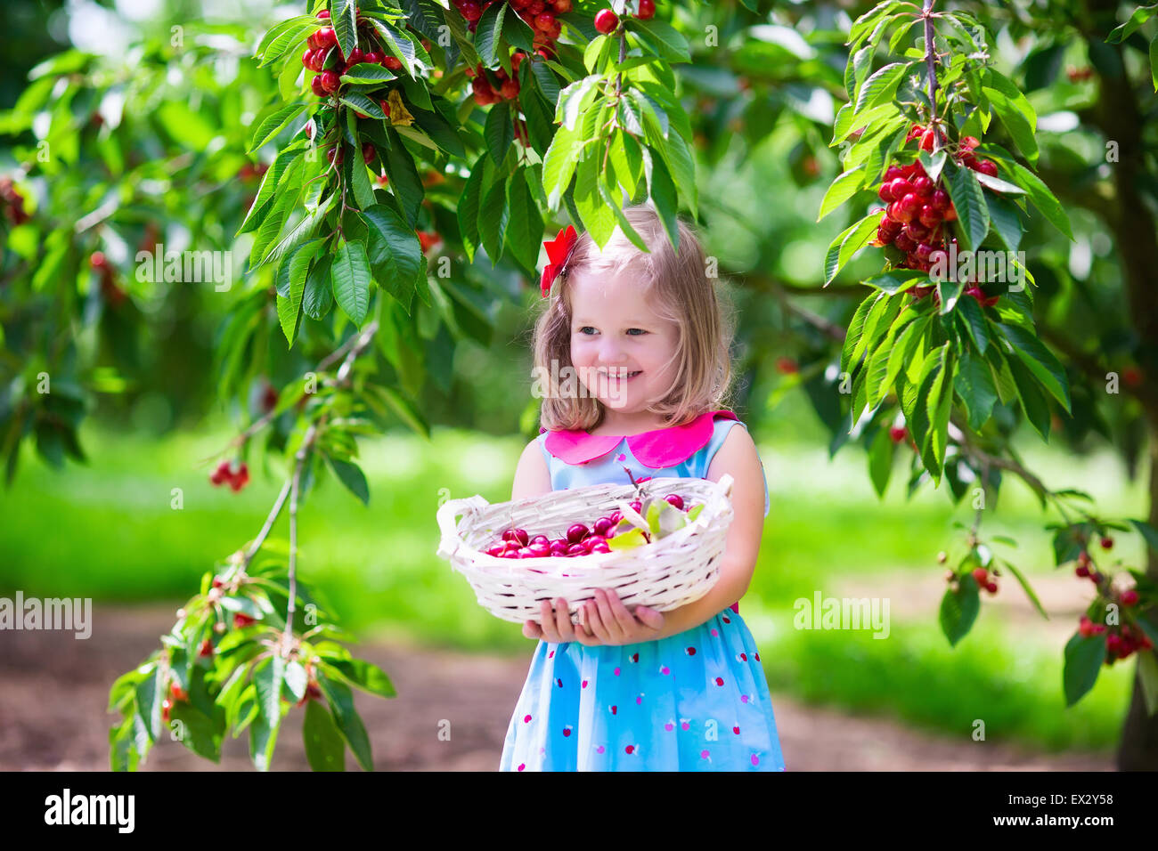 34 Cool fruit farm for Fruit Farm Photography
111bof 34 Cool fruit farm for Fruit Farm Photography
111bof
