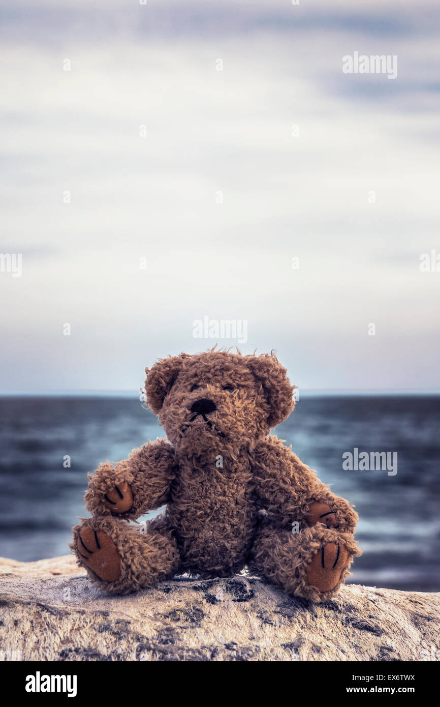 a teddy bear is sitting on a stone at the sea Stock Photo, Royalty Free