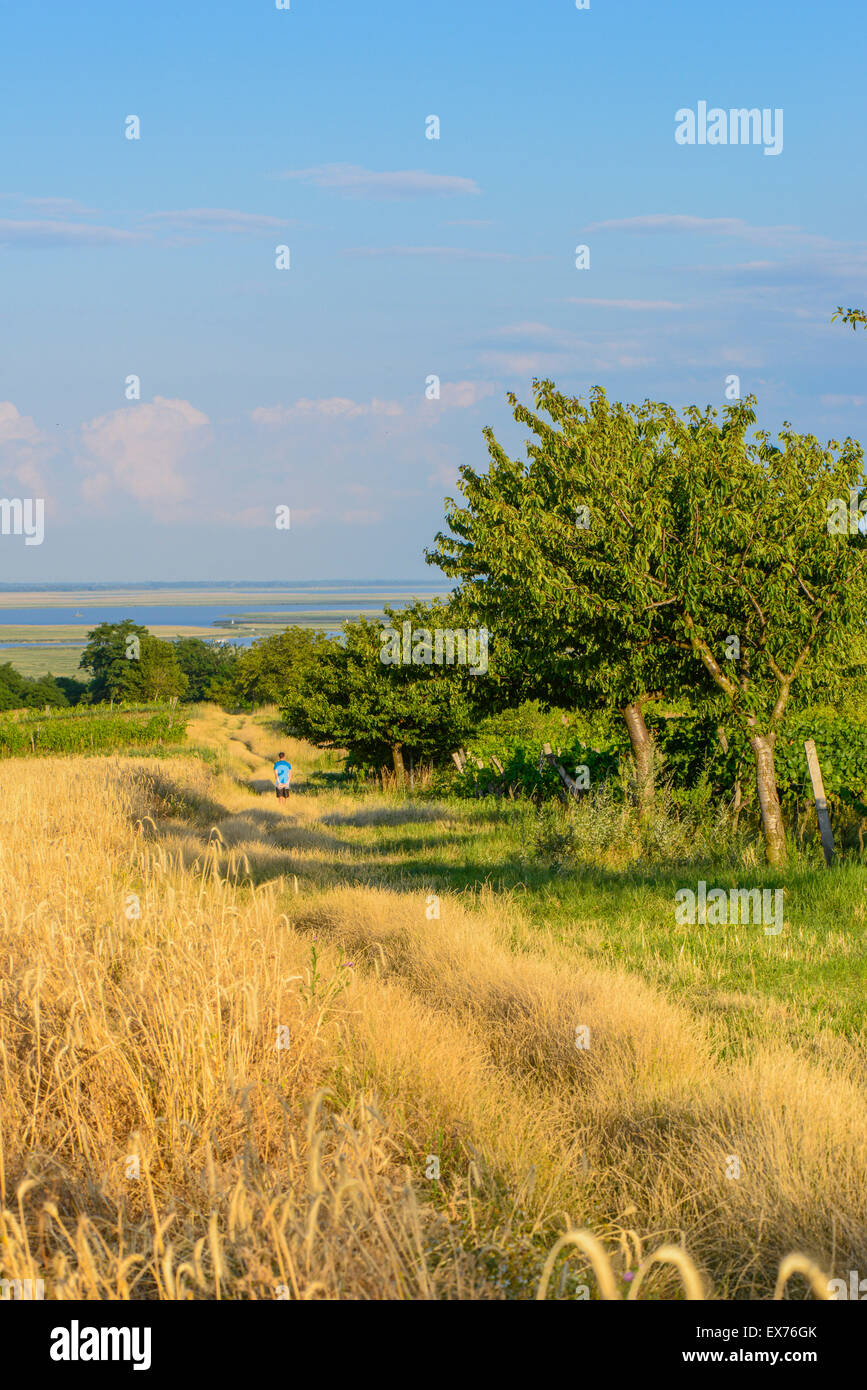 M Rbisch Am Neusiedler See Seewinkel Burgenland Sterreich Stock