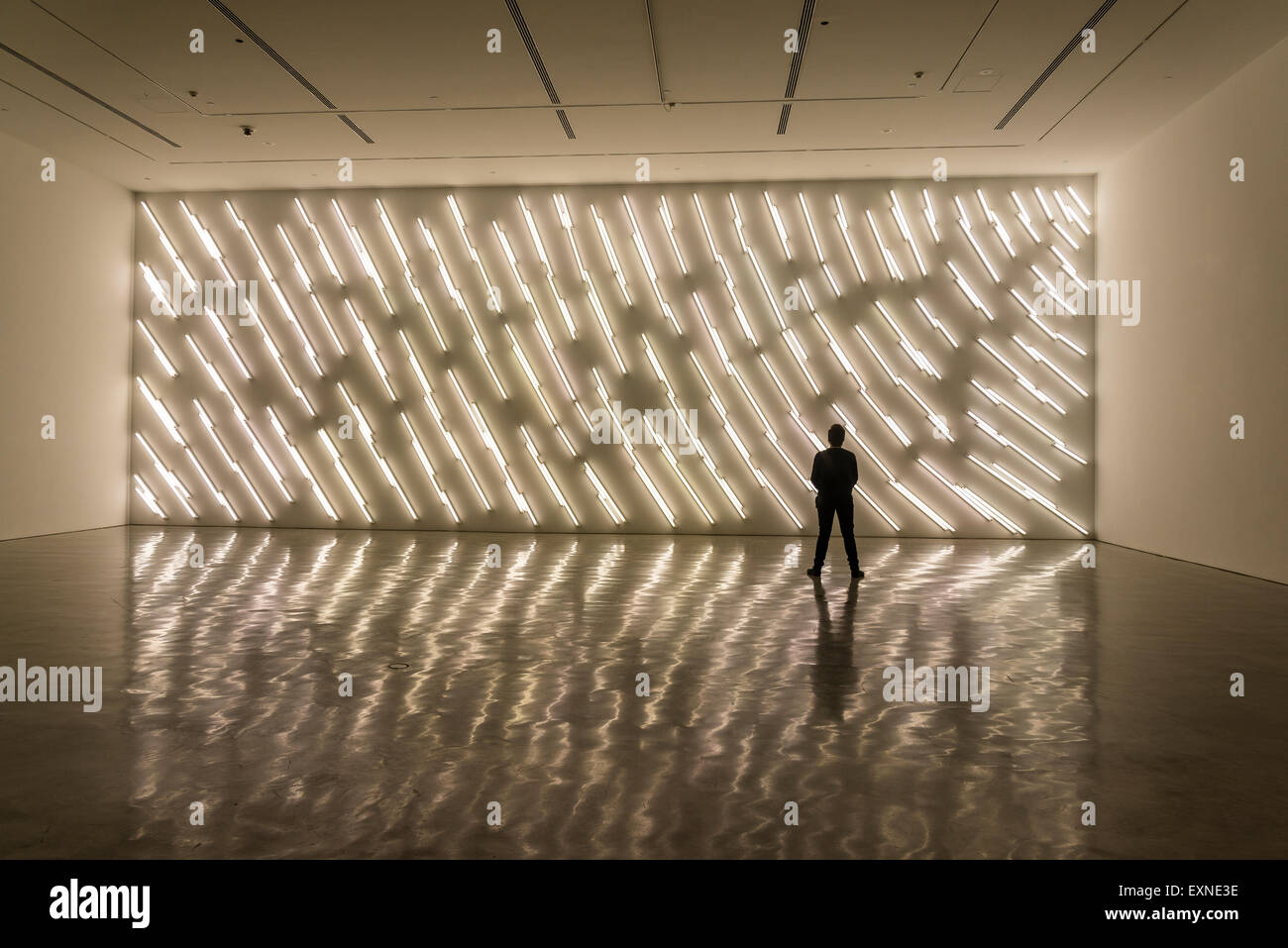 Museum of Contemporary Art, 'Luminous' exhibition, Light installation