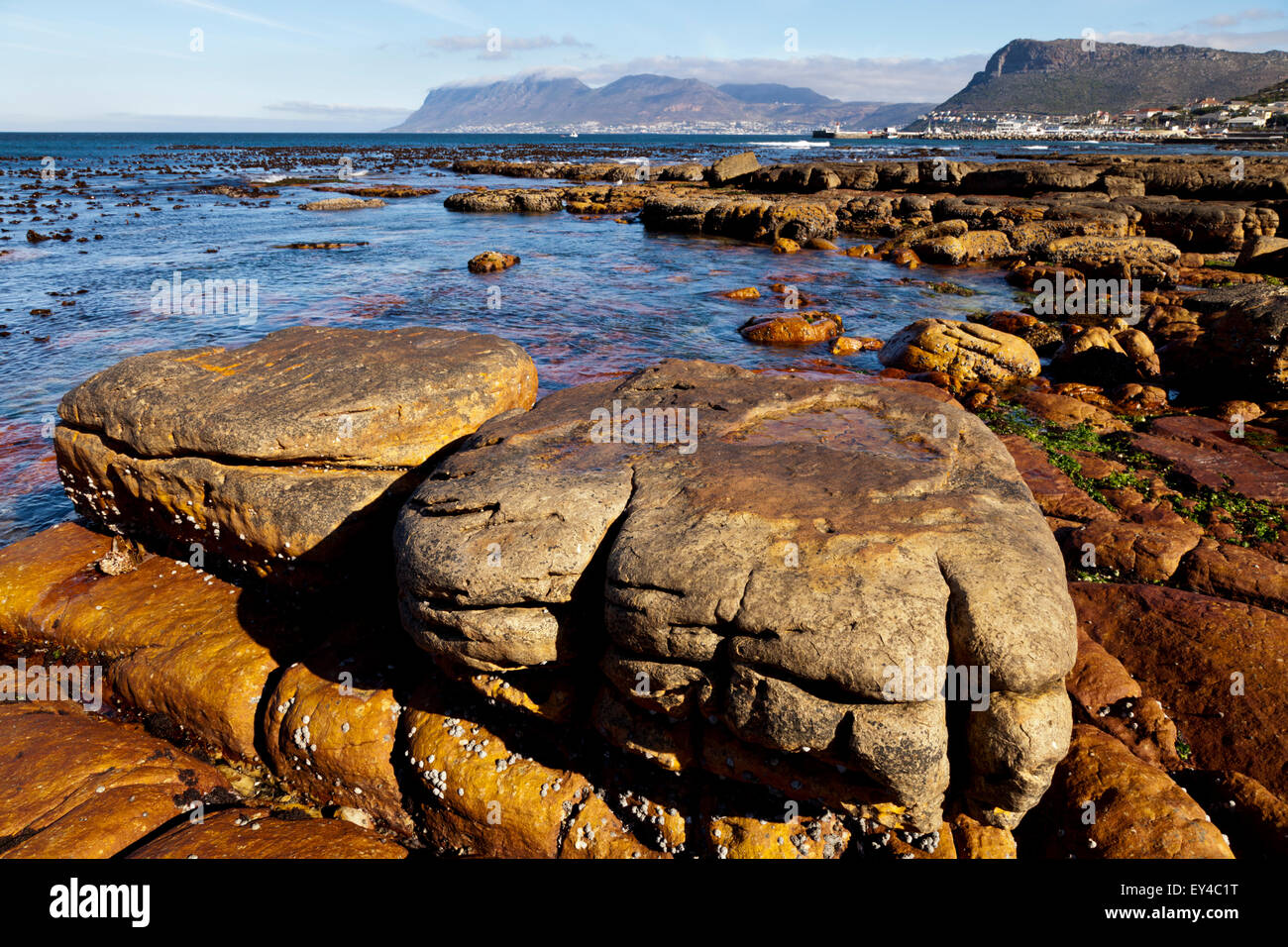 Rock formations on the shore of False Bay near Cape Town South Africa