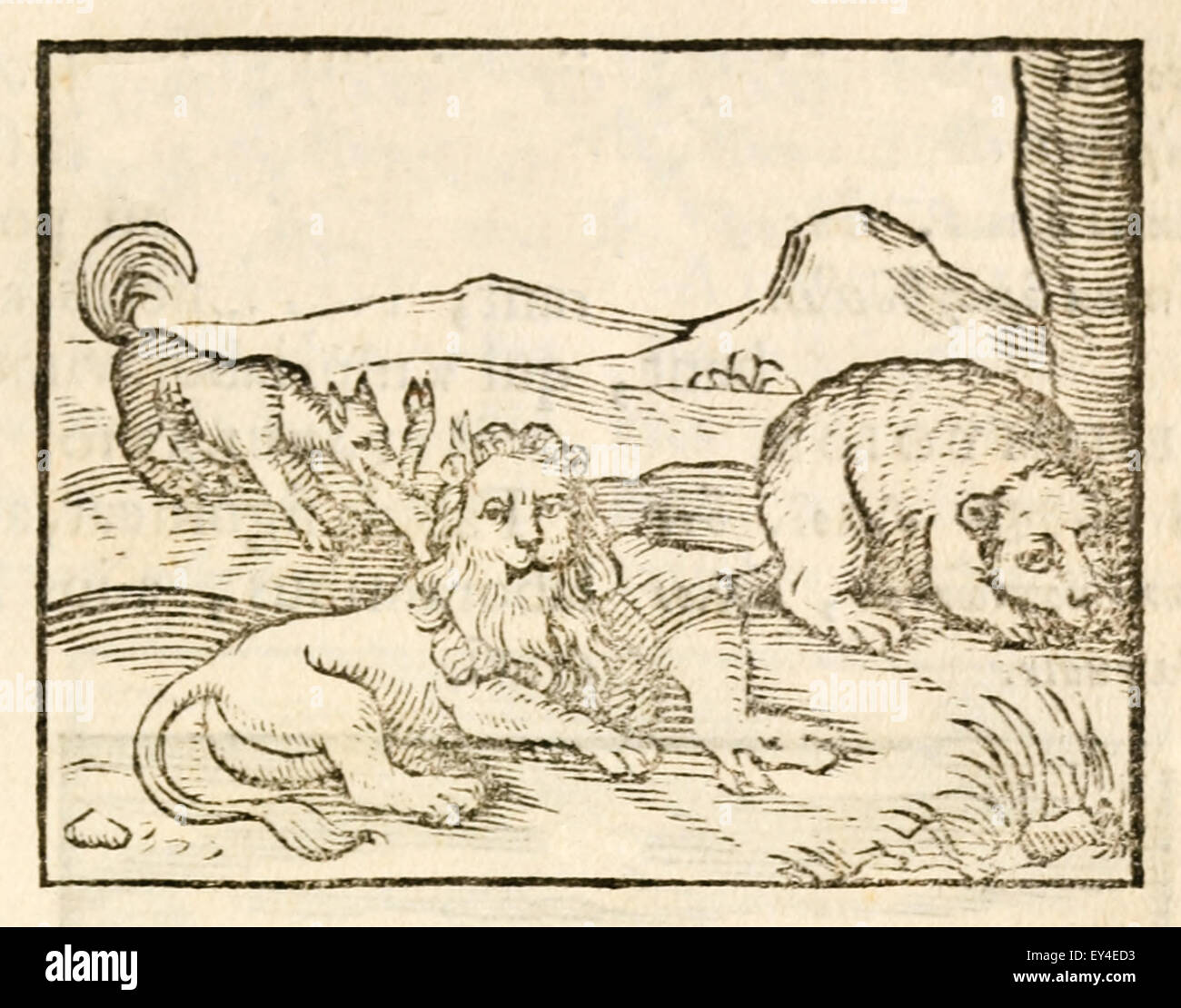 ' The Lion, the Bear, and the Fox ' fable by Aesop (circa 600BC). A