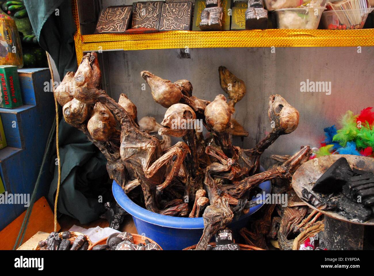 magic market