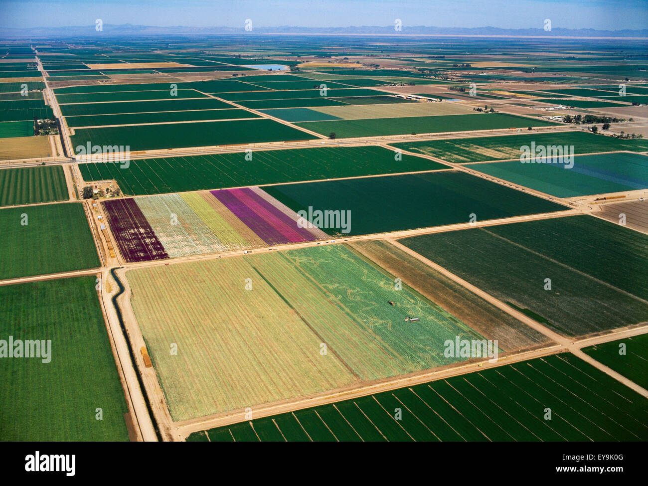 Agriculture Aerial view of cultivated farmland of various crops Stock