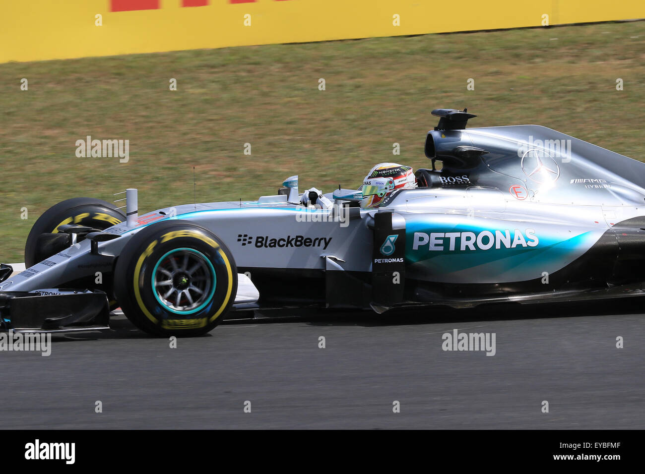 FIA F1 fia f1: