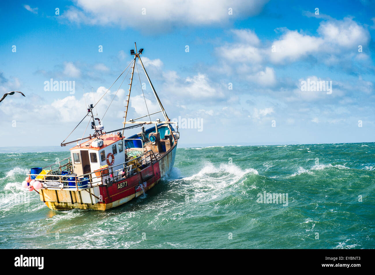 Inshore fishing in Cardigan Bay a small lobster and crab fishing