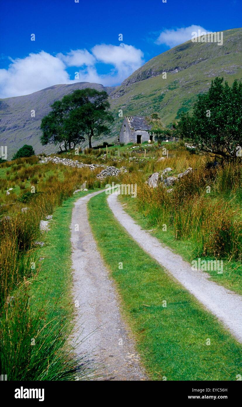 black-valley-killarney-national-park-county-kerry-ireland-boreen-in-EYC56H.jpg