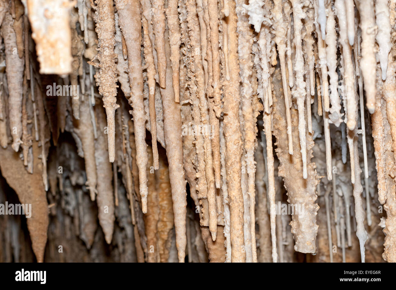 Stalactites And Stalagmites In Limestone Cave Stock Photo Alamy