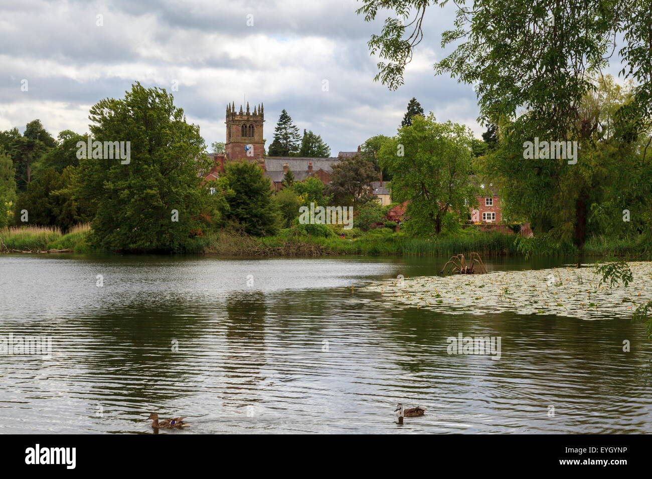 The Mere, Ellesmere, Shropshire Stock Photo, Royalty Free Image
