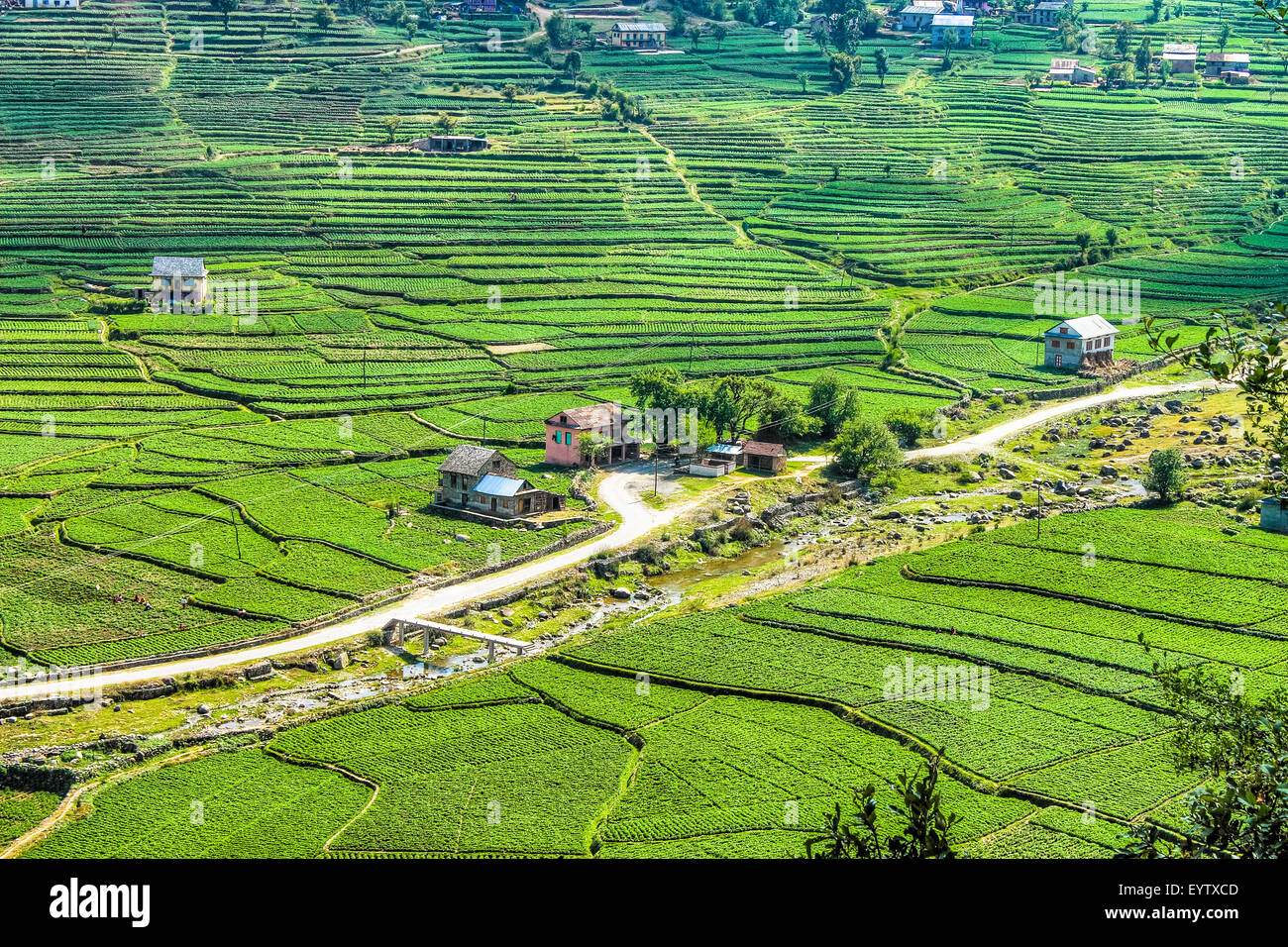 Terraced Farmland in Nepal Stock Photo, Royalty Free Image 85984765