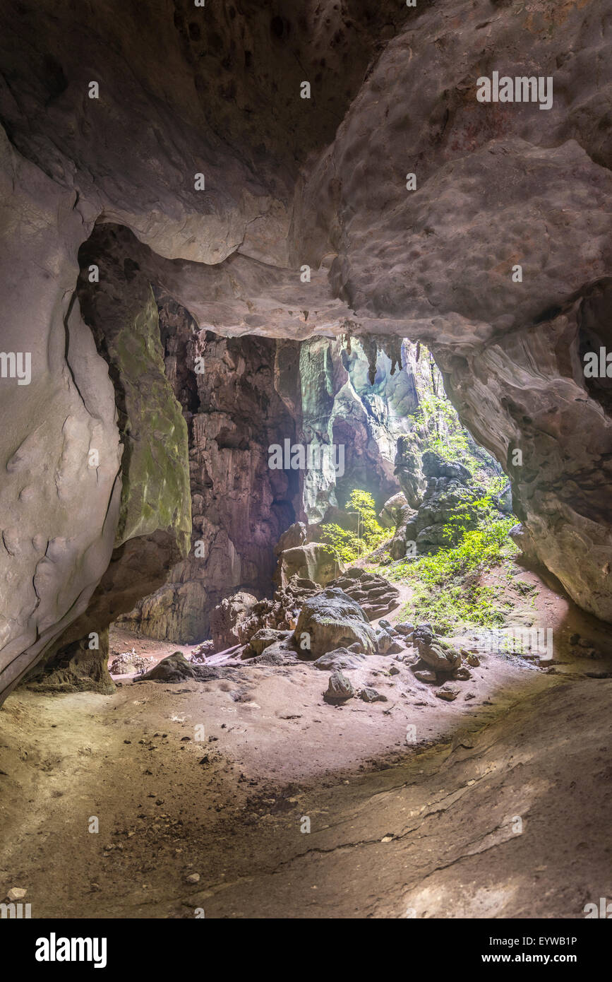 Stalactite Cave In The Jungle Taman Negara National Park Jerantut