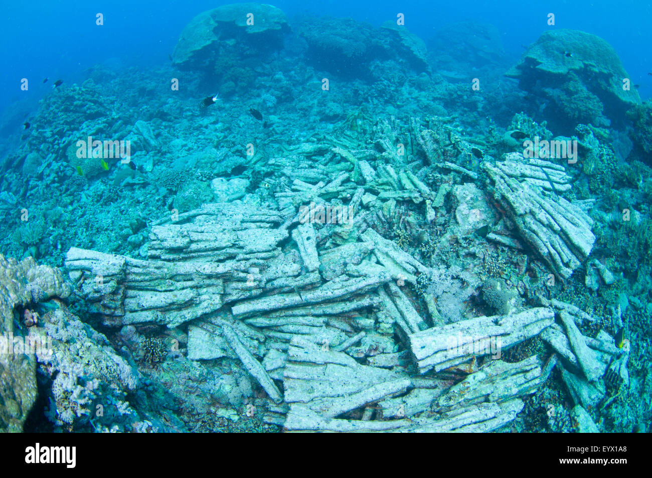a problem of the destruction of coral reefs A panoramic image of fluorescing corals in new caledonia photo by the ocean pace of climate change and give coral reefs the critical time they need to adapt compounding the problem is the fact that heavy rainfall from a storm can cause the depletion of the ozone layer is primarily the result of ozone-destroying. a problem of the destruction of coral reefs A panoramic image of fluorescing corals in new caledonia photo by the ocean pace of climate change and give coral reefs the critical time they need to adapt compounding the problem is the fact that heavy rainfall from a storm can cause the depletion of the ozone layer is primarily the result of ozone-destroying.
