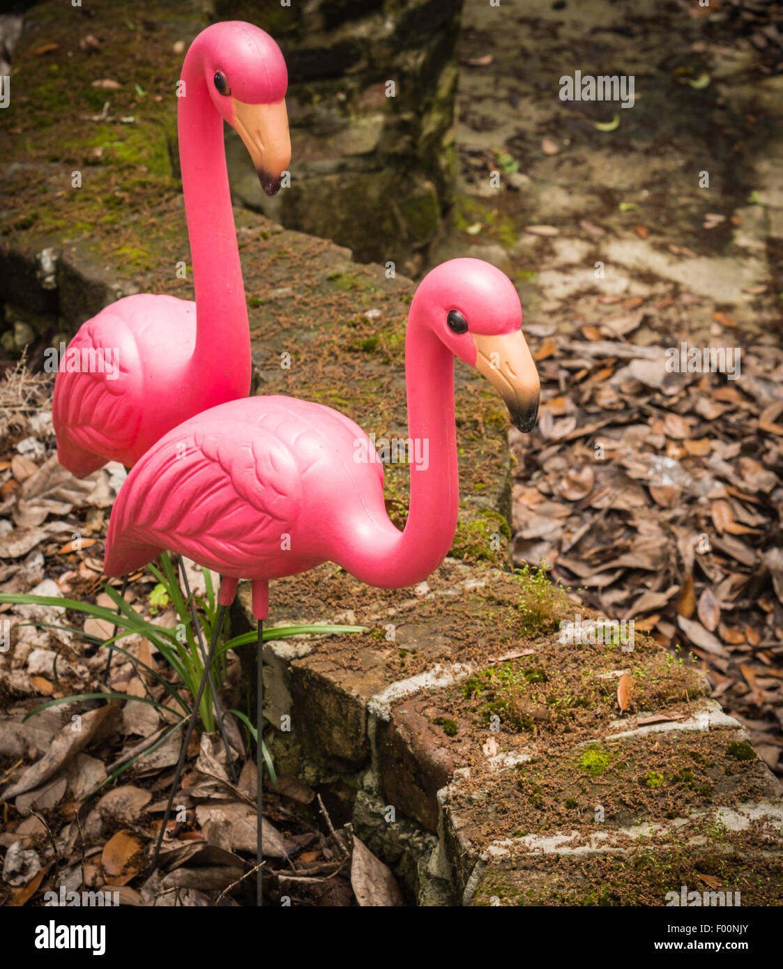Pink Plastic Flamingos Decorate A Backyard Garden In Savannah