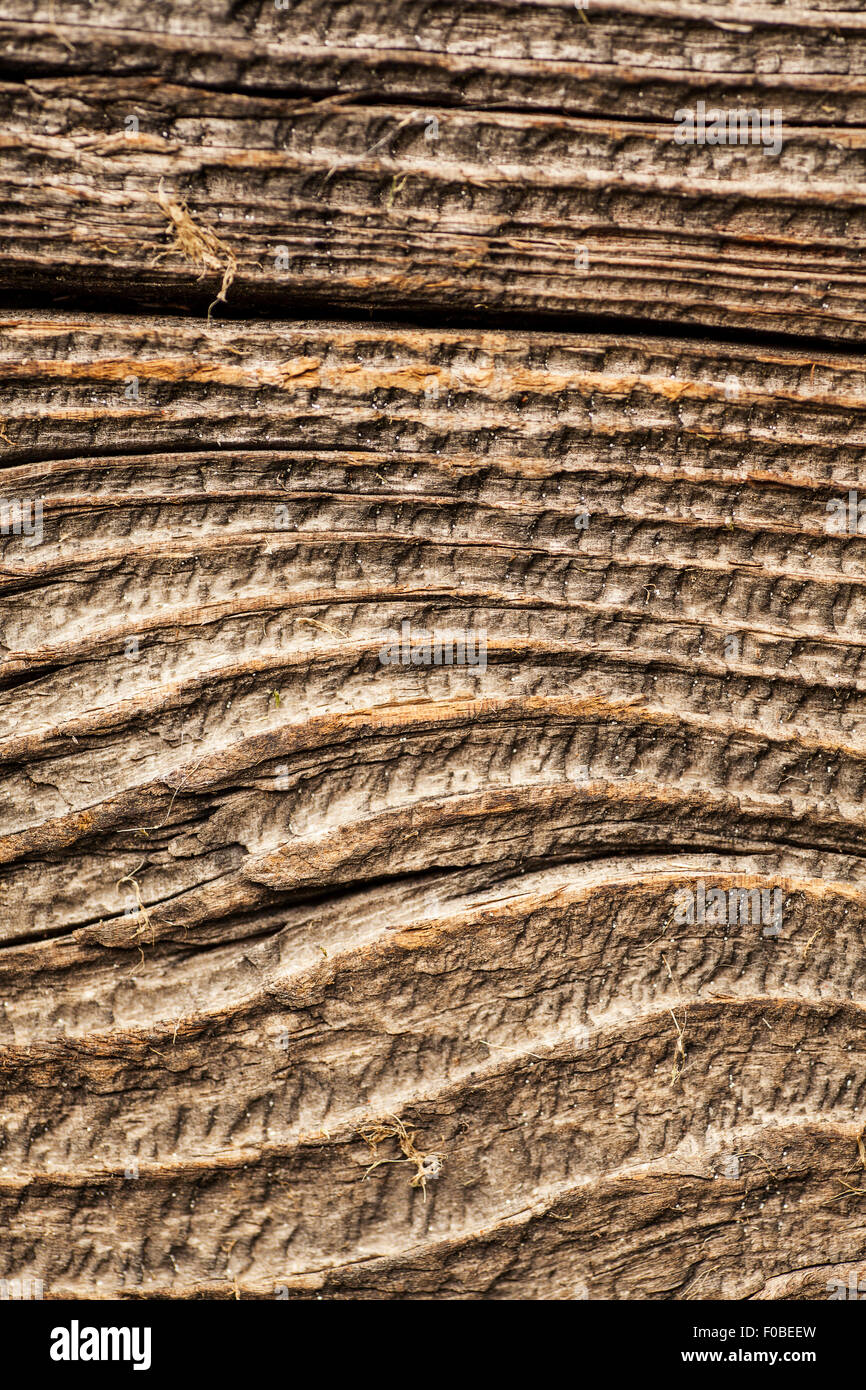 Wood Grain Texture deep wood grain texture on a piece of weathered wood stock photo Wood Grain Texture deep wood grain texture on a piece of weathered wood stock photo