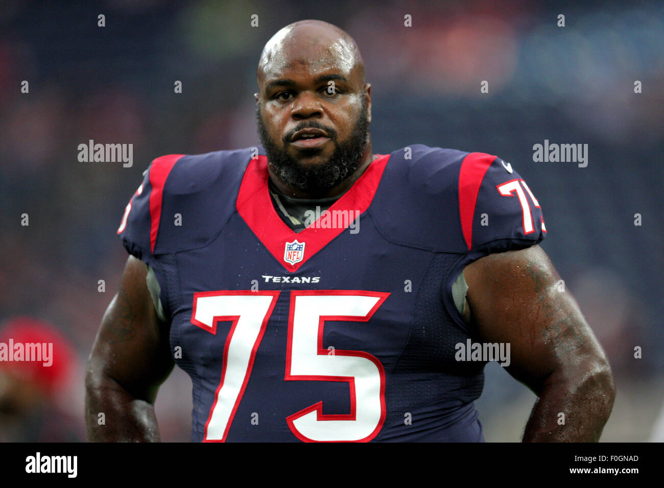 wilfork texans jersey