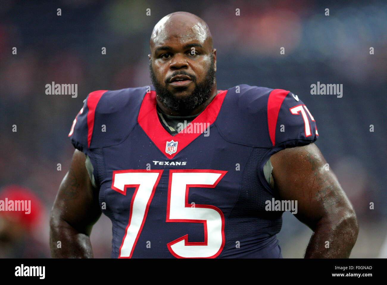 wilfork texans jersey