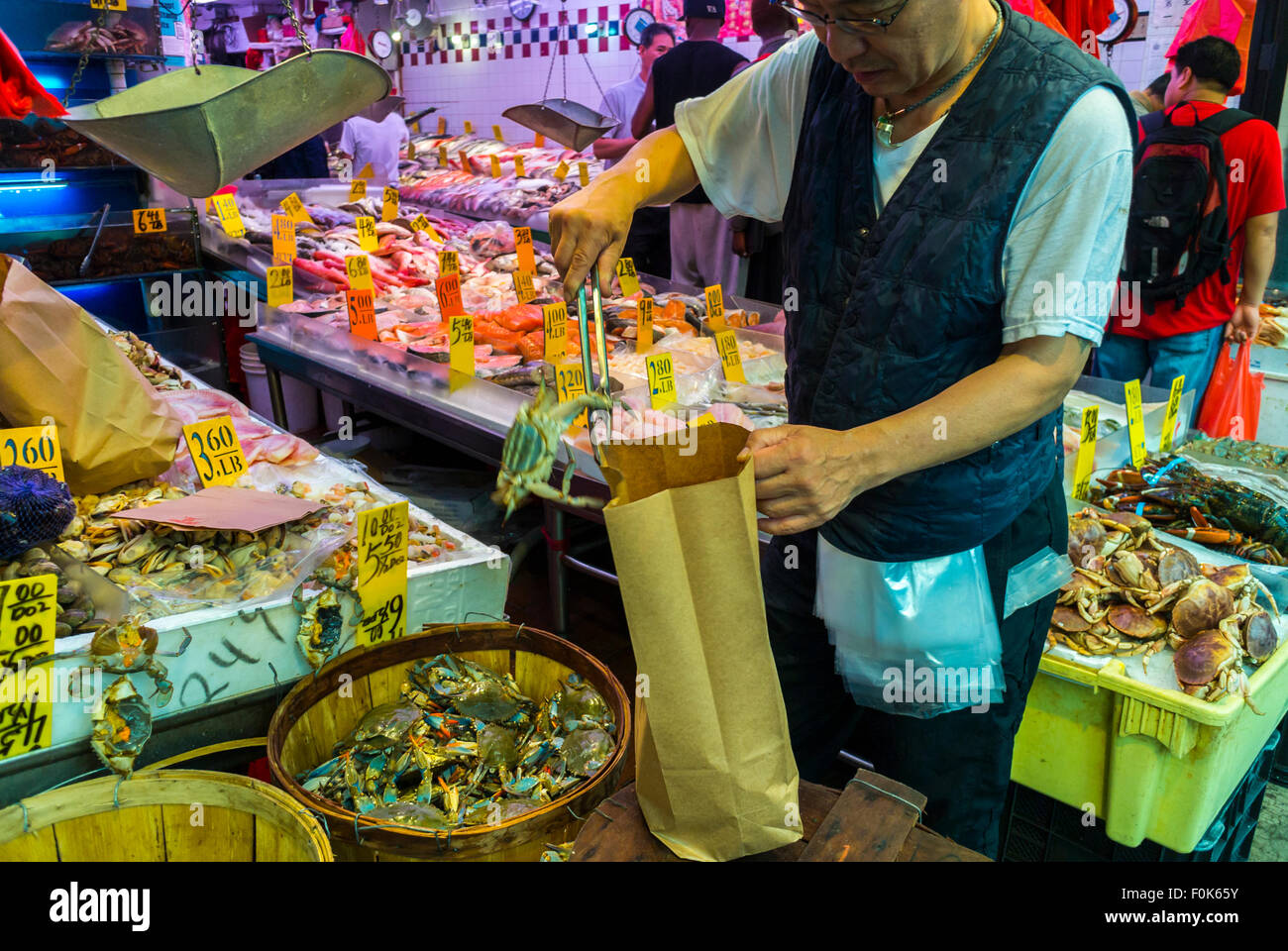 New York City, USA, Chinatown, Fish Store Chinese Clerk Bagging Live