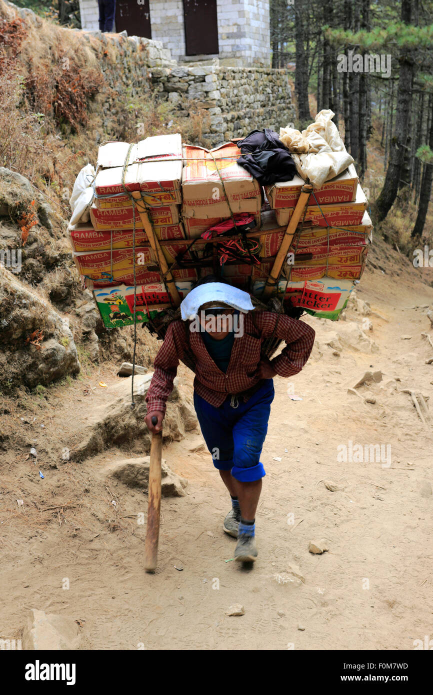 Nepalese Sherpa carrying a load, Namche Bazar Pass, Sagarmatha Stock