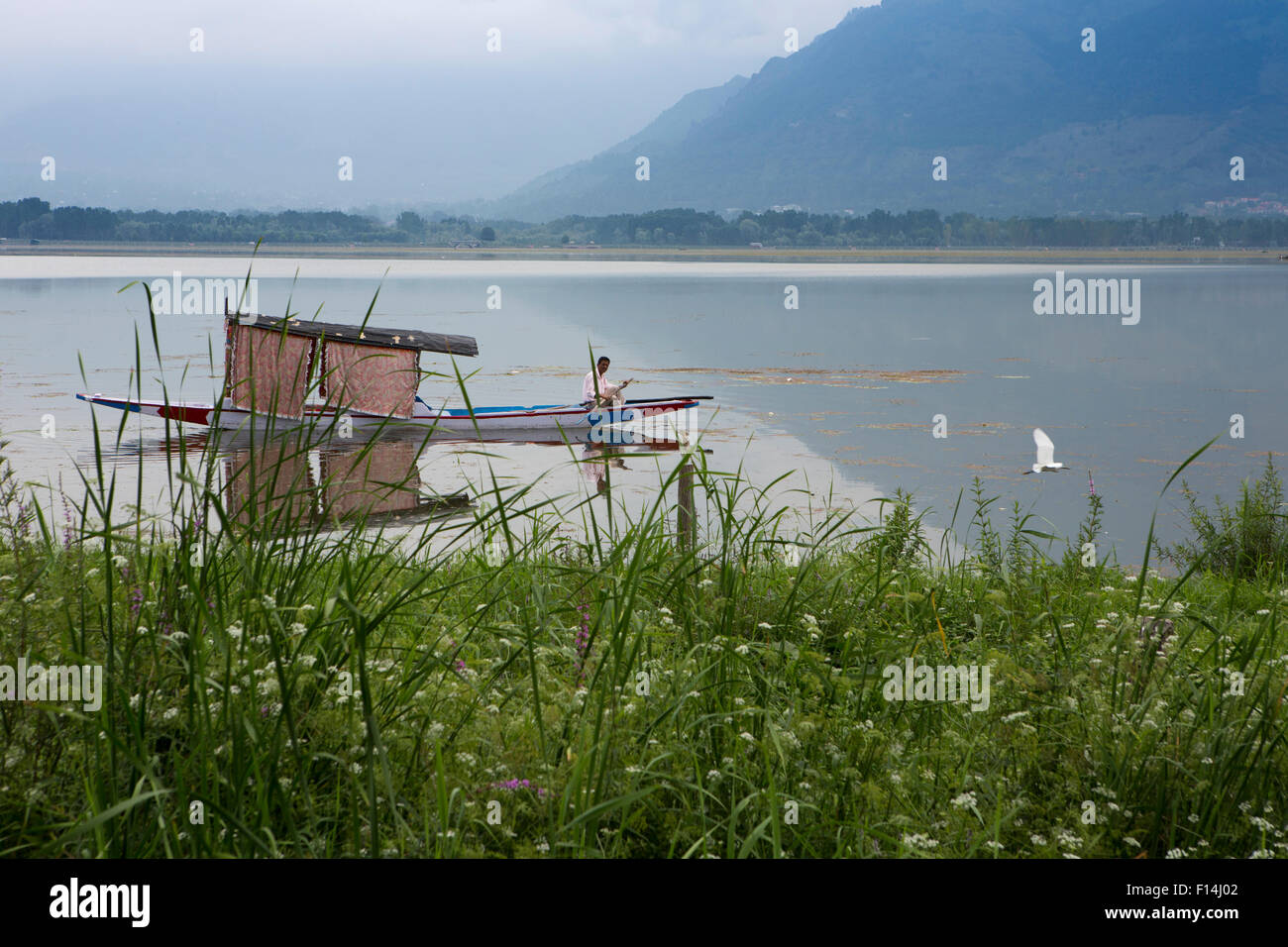 India Jammu Kashmir Srinagar Hazratbal Shikara Paddling Beside