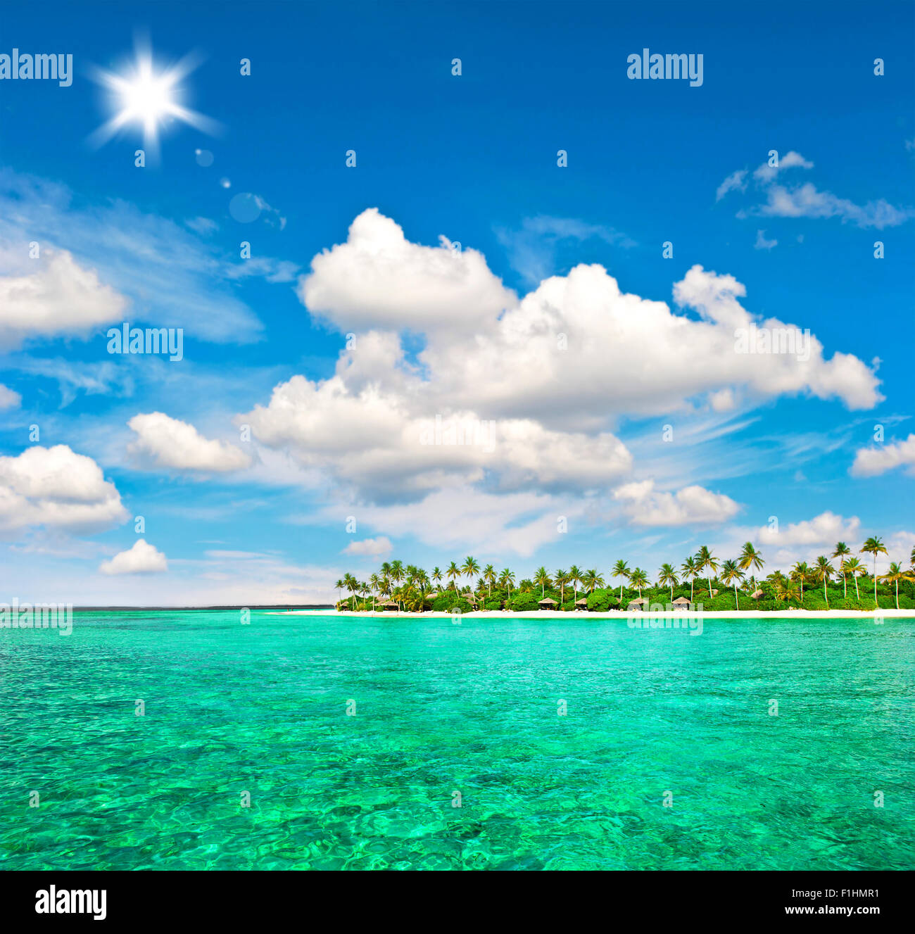 Landscape Of Tropical Island Beach With Palm Trees And Sunny Blue Sky