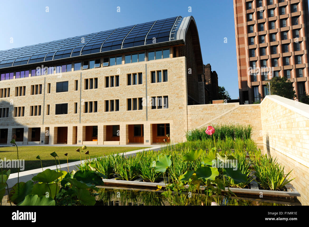 Kroon Hall, Yale School of Forestry & Environmental Studies. New Stock