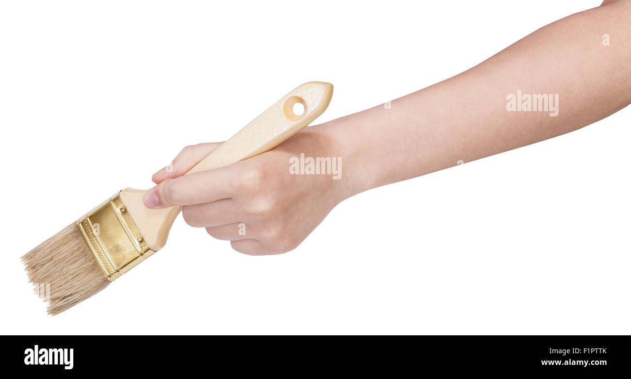 Hand Holding Clean Flat Paintbrush Isolated On White Background Stock