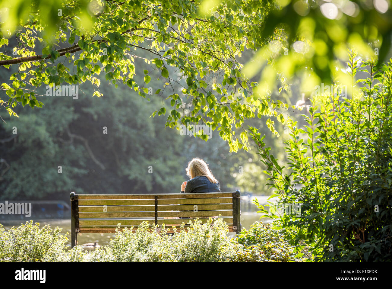 a-woman-sat-on-a-bench-backlit-by-the-su