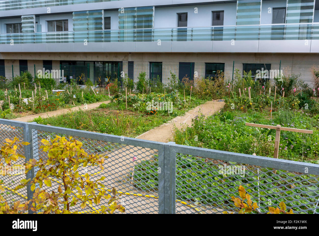 Modern Architecture France paris, france, community vegetable garden in new modern Modern Architecture France paris, france, community vegetable garden in new modern