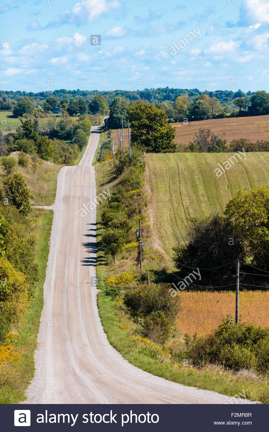 Country gravel road and hedgerows on the drumlin hills of Stock Photo