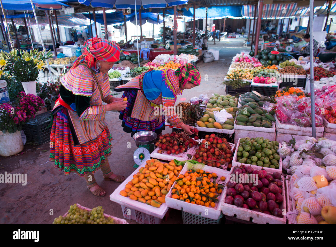 Ethnic Hmong 2