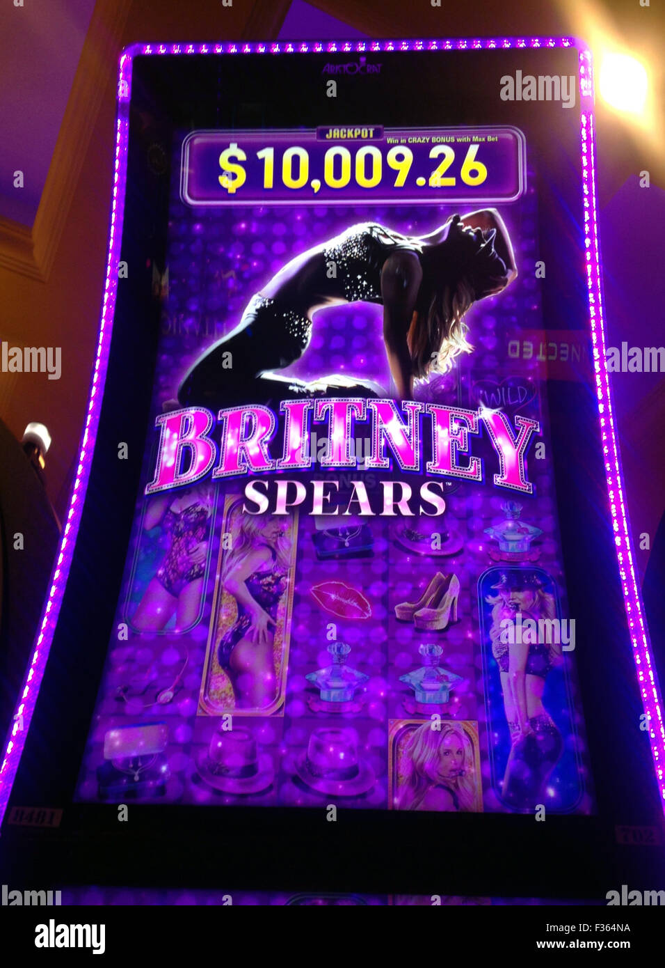 social gambling website