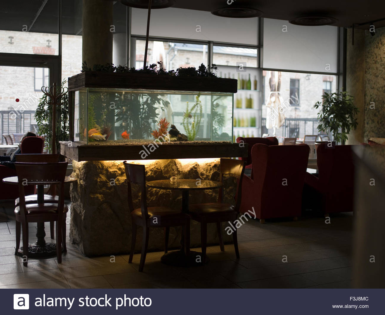 cafe coffee shop - tallinn estonia europe - (medium format stock cafe coffee shop - tallinn estonia europe - (medium format stock