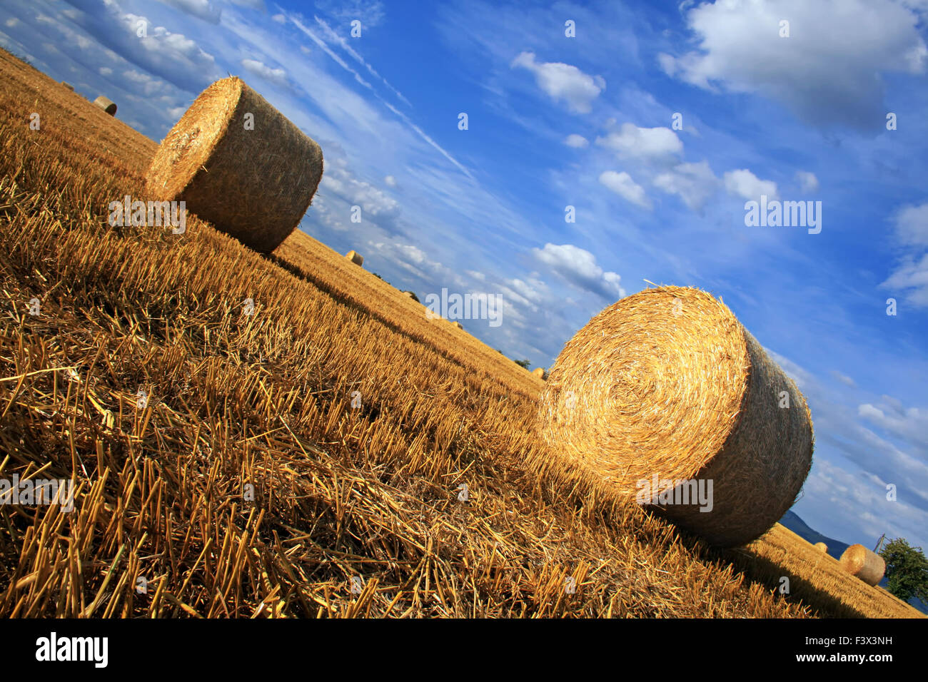 Straw Bales Stock Photo, Royalty Free Image 88469517 Alamy