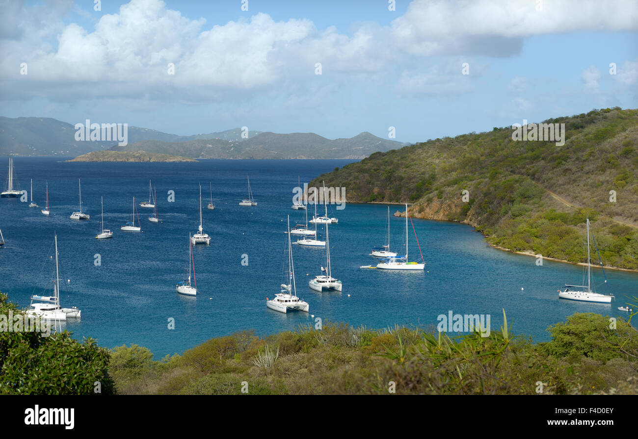 Teachers needed in british virgin island does Valuable information teachers needed in british virgin island think, that