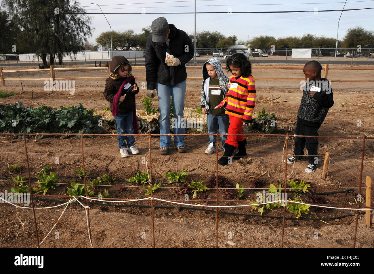 Elementary School Students Learn About Gardening At Tucson Village Elementary School Students Learn About Gardening At Tucson Village