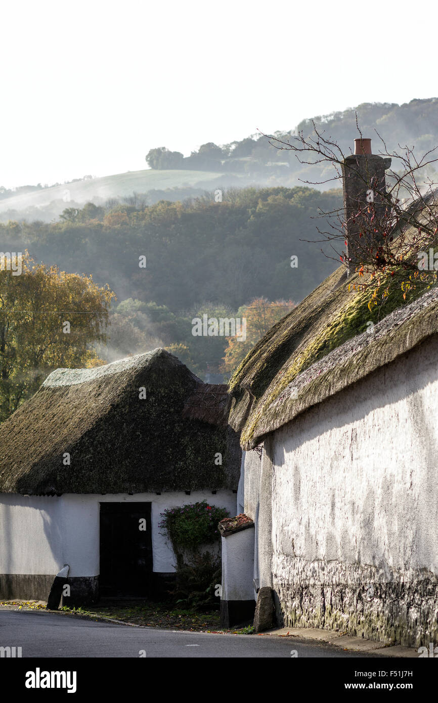 cob and thatch cottage in Dunsford,Exeter,Dartmoor national Stock Photo