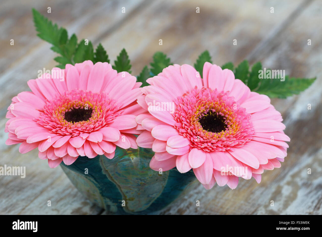 Pink Gerbera Daisies In Flower Vase On Rustic Wooden Surface With Copy Space Pink Gerbera Daisies In Flower Vase On Rustic Wooden Surface With Copy Space
