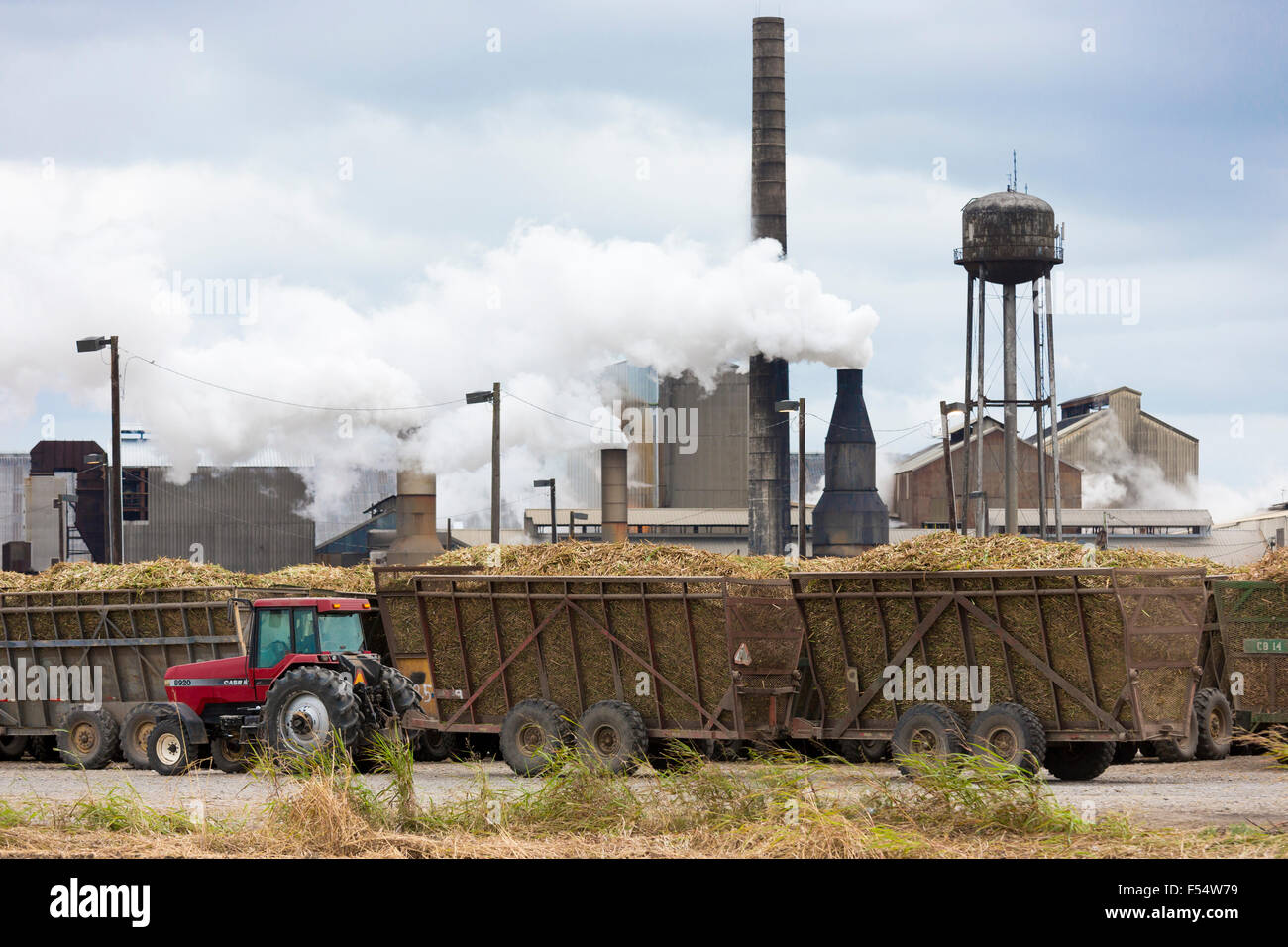 Sugarcane production factory St Mary Sugar Cooperative Sugar Mill Stock