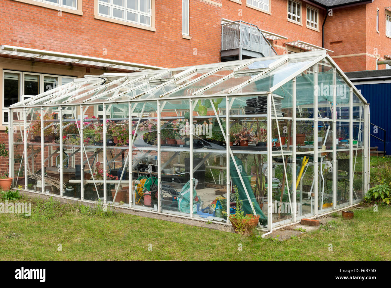 Large glass house in garden, Reading, Berkshire, England ...