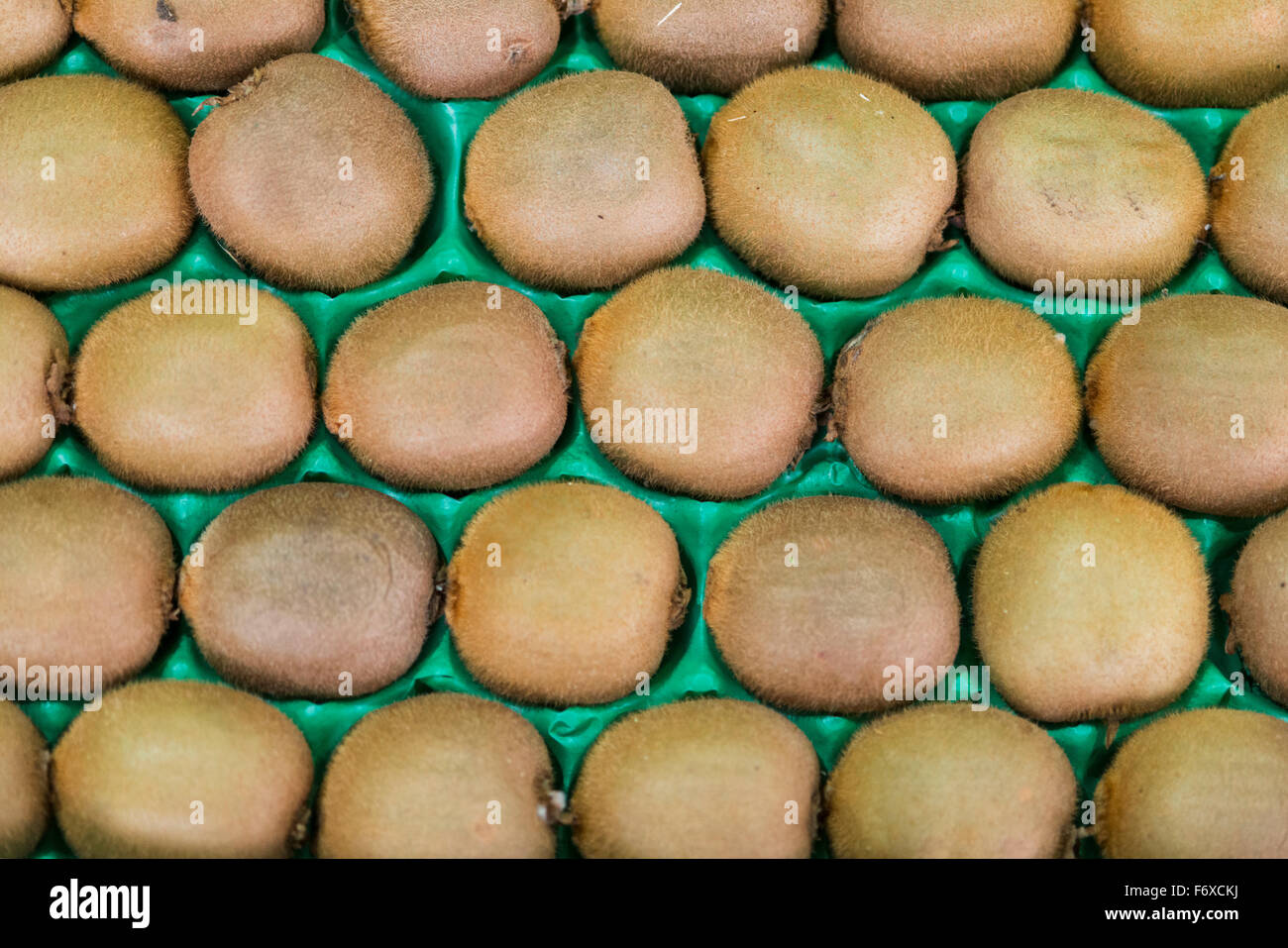 Tray of kiwi at the Tshwane Fresh Produce Market; Pretoria, Gauteng
