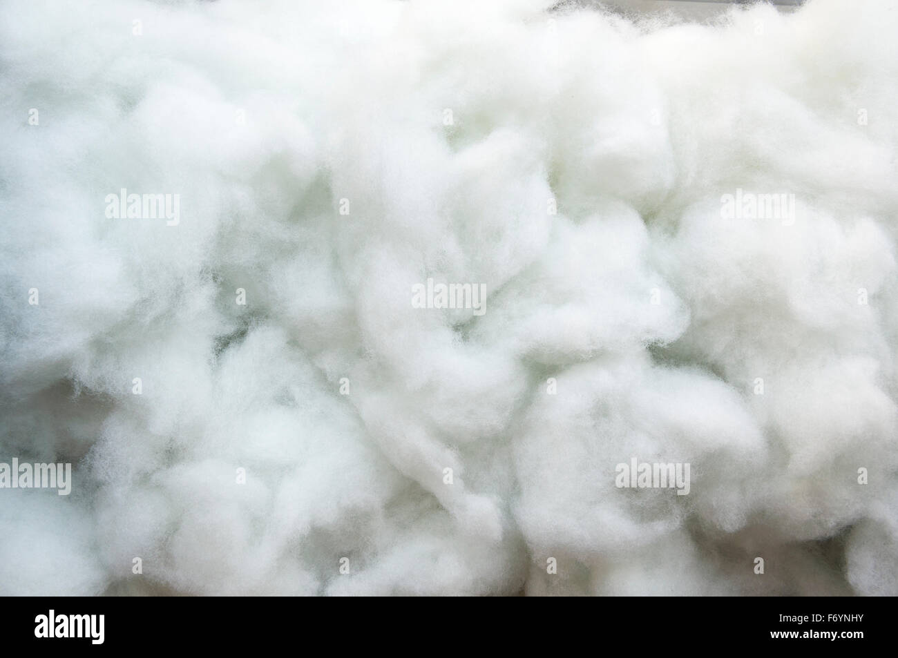 cotton wool white soft texture detail clean Stock Photo, Royalty ... for Soft White Cotton Texture
287fsj cotton wool white soft texture detail clean Stock Photo, Royalty ... for Soft White Cotton Texture
287fsj